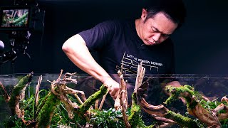 PLANTED TANK LEGENDS  7x WORLD CHAMPION JOSH SIM WORKSHOP [upl. by Maillw]