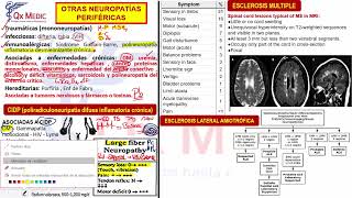 1 OTRAS NEUROPATÍAS PERIFÉRICAS [upl. by Aya]