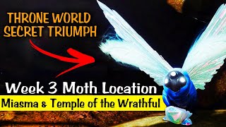 Destiny 2  Lepidopterist Triumph  Week 3 Lucent Moth Locations [upl. by Oryaj474]