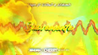 Nayer Ft Pitbull amp Mohombi  Suavemente SINDRIX amp CHERRY BOOTLEG [upl. by Leerzej]