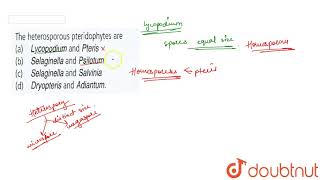 The heterosporous pteridophytes are [upl. by Kienan]