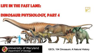 Lecture 36 Life in the Fast Lane Dinosaur Physiology 4 [upl. by Janerich]