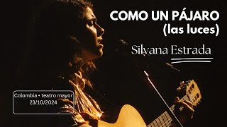 Como un pájaro las luces  Silvana Estrada [upl. by Donny77]