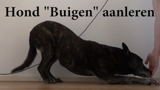 Dog School Hond leren buigen [upl. by Barbarese]