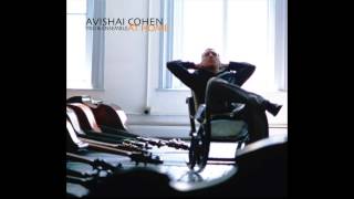 Avishai Cohen  Remembering [upl. by Nuahsed]