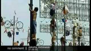 Palm tree trunk climbing in Indonesia [upl. by Virnelli57]