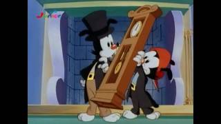 Animaniacs AMV  Kids in America [upl. by Areehs493]