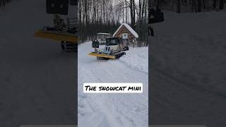 Brand NEW MINI Snowcat shorts reels [upl. by Lesly561]