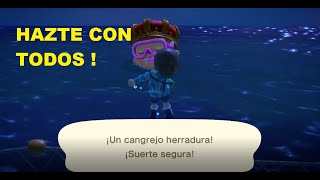 COMO PESCAR UN CANGREJO HERRADURA EN 30 SEGUNDOS ANIMAL CROSSING NEW HORIZONS [upl. by Edia]