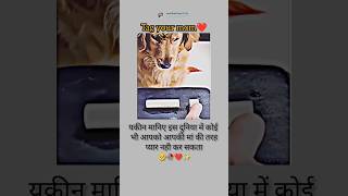 यकीन मानिए इस दुनिया में कोई भी आपको आपकी मां की तरह प्यार नहीं कर सकता viral shortvideo respect [upl. by Dunson]