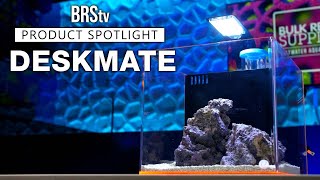 A TINY Reef Tank That’s Loaded With Features Eshopps DeskMate [upl. by Attenwad96]