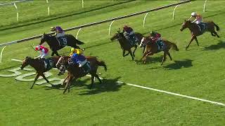 PRIVATE LIFE WINS AT WARWICK FARM [upl. by Iglesias849]