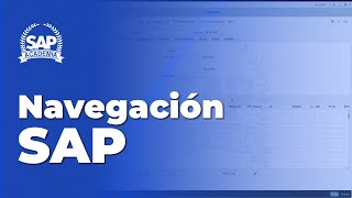 Navegación SAP [upl. by Aikit]