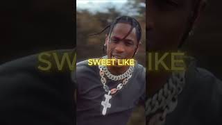 Travis Scott  BUTTERFLY EFFECT LYRICS EDIT [upl. by Iroc]