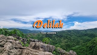 Delilah  KARAOKE VERSION  as popularized by Tom Jones [upl. by Whitaker]