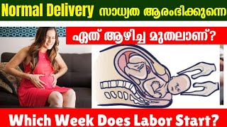 Last Month of Pregnancy Which Week Does Labor Start 3640 weeks Malayalam [upl. by Ardnoyek]