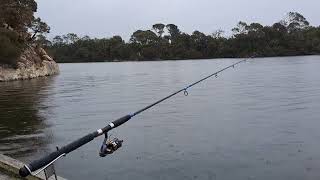 Estuary Fishing 🎣 In Cold Rainy 🌧 weather [upl. by Claybourne600]