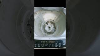 LG Automatic Washing Machine Deep cleaning amp water level sensor replacement  shortvideo shorts [upl. by Shanan758]