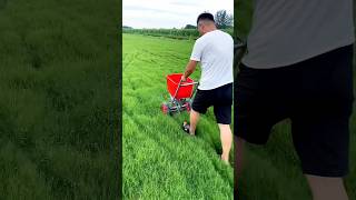 fertilizer spreader to spread fertilizer in the future It is really convenient and fastviralvideo [upl. by Aikimat]