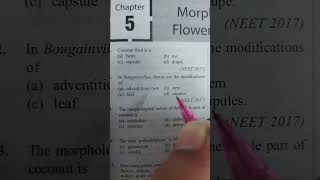 Modifications of stem morphologyoffloweringplants neet shorts youtubeshorts [upl. by Aldwin]