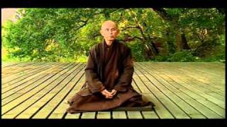 Thich Nhat Hanh about Freedom [upl. by Nnaacissej]