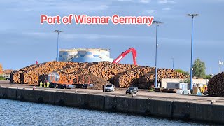 Self Discharging Cargo Timber Logs port of Wismar Germany [upl. by Kerin147]