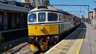 Waterside Wanderer Railtour 280724 [upl. by Loredana]