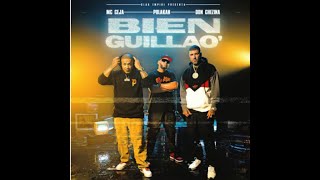 MC Ceja Polakan Don Chezina  Bien Guillao Remix [upl. by Eldridge661]