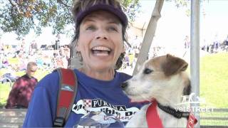 A Parson Russell Terrier Triumphs at The Purina Incredible Dog Challenge [upl. by Kyred]