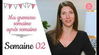 2ème semaine de grossesse – Le test de grossesse [upl. by Ytsirk442]