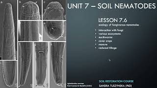 Lesson 76  Ecology of fungal feeding nematodes [upl. by Noisla]