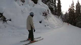 How to ski in forest in Switzerland Lesson 2 [upl. by Ahusoj]