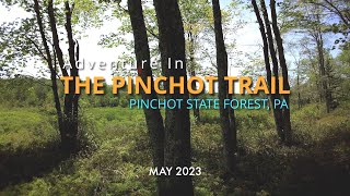 The Pinchot Trail South Loop  Pinchot State Forest  PA [upl. by Merci187]