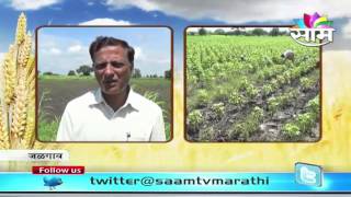 DrSanjiv Patil on Cotton Worm Control [upl. by Jabon]