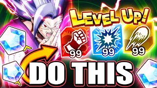 BEST WAY TO RAISE ARTS BOOST TO MAX LEVEL  Dragon Ball Legends Guide [upl. by Undry185]