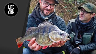 PERCH FISHING WITH LURES  How to fish a canal [upl. by Adnana]