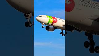 A330900NEO TAP PORTUGAL 🇵🇹 [upl. by Tran733]