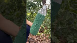 Survival Skills Bottle Reused Simple But Very Useful survival bushcraft shorts [upl. by Araas]