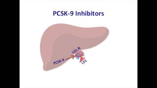 Mechanism of action of PCSK 9 inhibitors [upl. by Soutor]