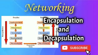 Encapsulation and Decapsulation in Networking  Networking  Tamil [upl. by Benjy]