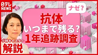 【解説】感染者２５０人 “抗体”１年追跡調査が発表…“再感染リスク”は？（2021年5月20日放送「news every」より） [upl. by Rednasxela150]