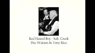 Red Haired Boy  Salt Creek  Doc Watson amp Tony Rice [upl. by Brackett135]