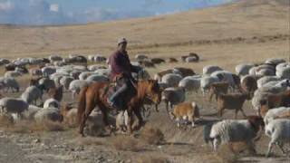 Javkhlan Bi Mongol Hun Mongolian song [upl. by Weatherby]