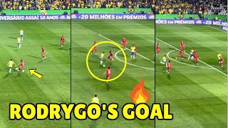 Rodrygos Stunning Goal Seals Brazils Victory Over Ecuador in 2026 World Cup Qualifiers [upl. by Radcliffe323]