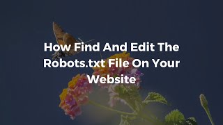 How To Find And Edit Your Robots txt File On Your WordPress Website [upl. by Efal]