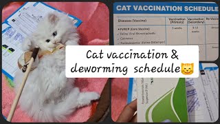 CATS VACCINATION amp DEWORMING SCHEDULE Deworming kese kre meowmeade catvaccination deworm [upl. by Haras897]