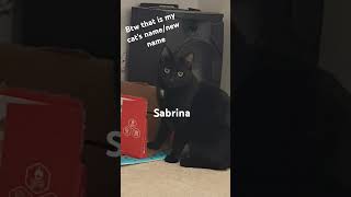 Sabrina to Abrin😆 [upl. by Armat385]