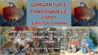 GARGANTUA E PANTAGRUELE Libro 1° Capitolo 33 [upl. by Ellehcal]