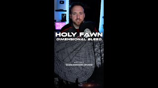 Holy Fawn  Dimensional Bleed  Album Review Shorts [upl. by Skricki201]