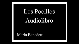 LOS POCILLOS AUDIOLIBRO [upl. by Rosalinde930]